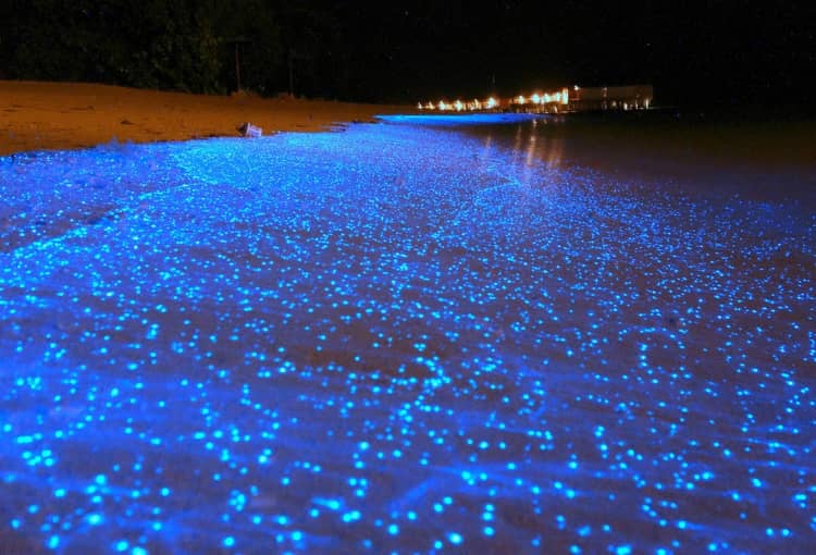 See blue beach in Maldives a best things to do.