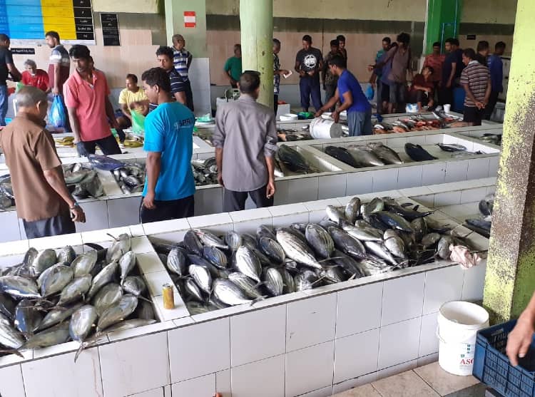 Malé Fish Market