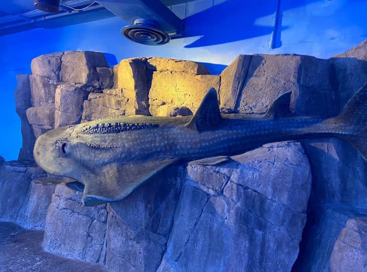 Dive into Sharjah Aquarium
