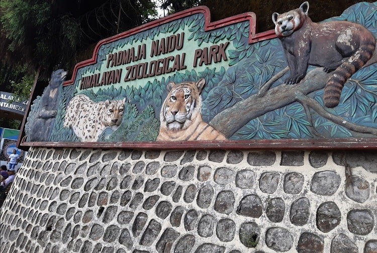 Padmaja Naidu Himalayan Zoological Park a best place to visit in Darjeeling