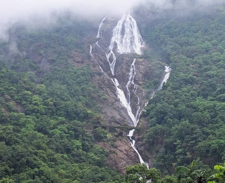 Dudhsagar Falls best place to visit in november in Goa