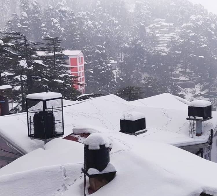 Jakhu Hill honeymoon place in Shimla