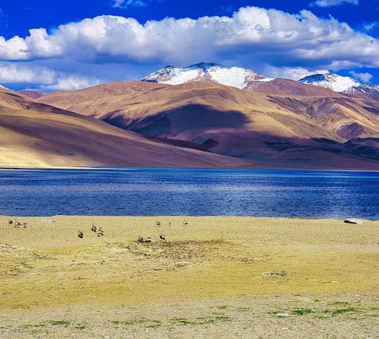 Kyagar Tso Lake in Ladakh