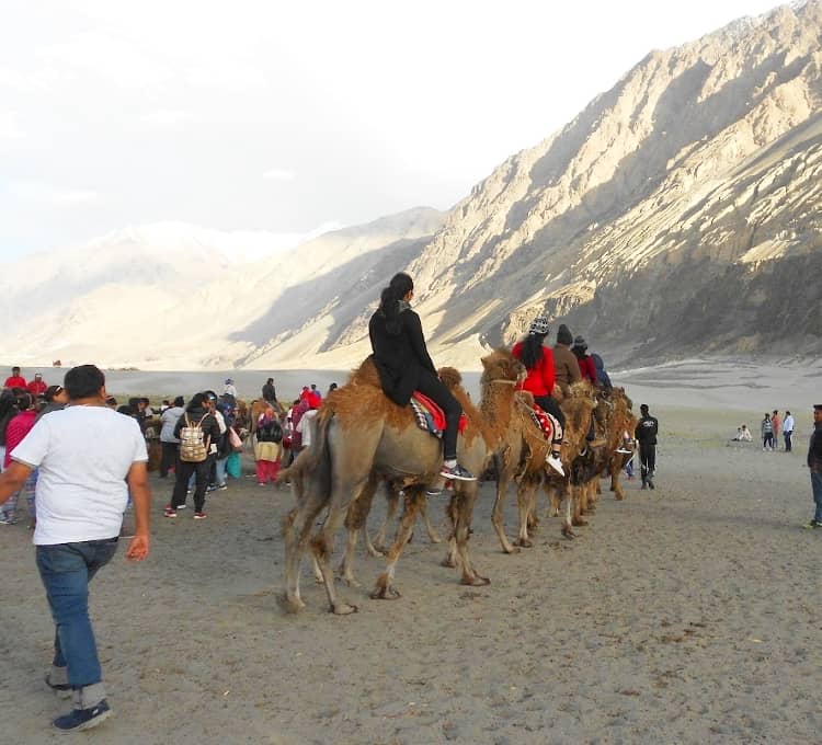 Nubra Valley a best place for photography in ladakh