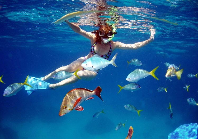 Snorkeling a best things to do in Mauritius
