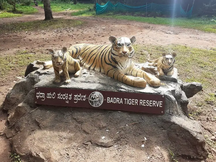 visit badra tiger reserve in chikmagalur