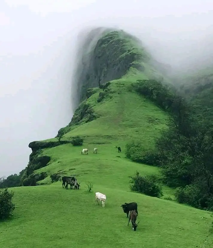 Lonavala a best place to visit near pune in monsoon