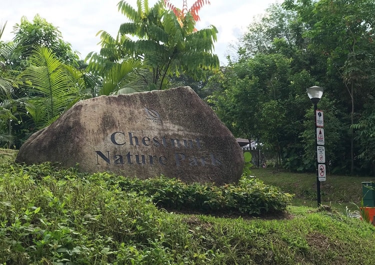 Visit Chestnut Nature Park a best things to do in Singapore