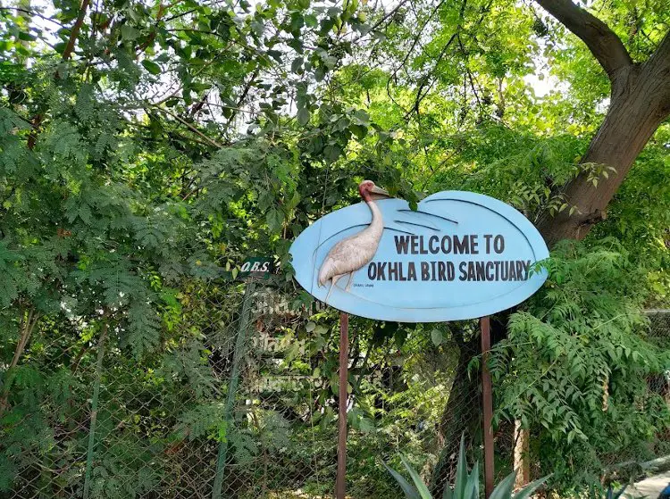 Okhla Bird Sanctuary a best place to visit in monsoon near Delhi