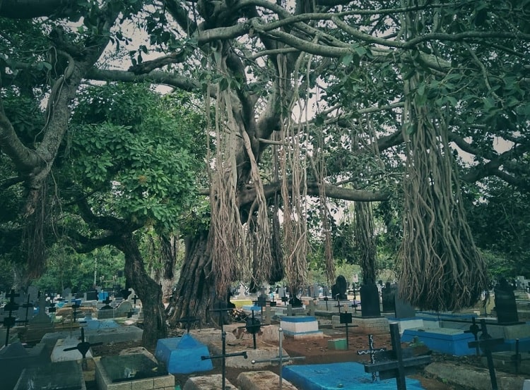 Kalpalli Cemetery a haunted place in Bangalore