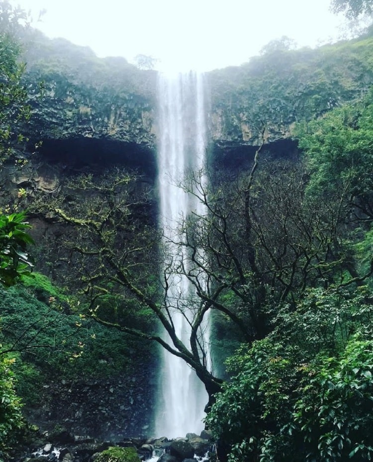Sada Falls a best waterfall near Belgaum