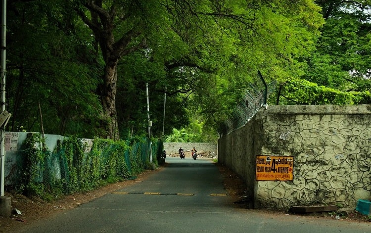 Besant avenue road a haunted place in Chennai