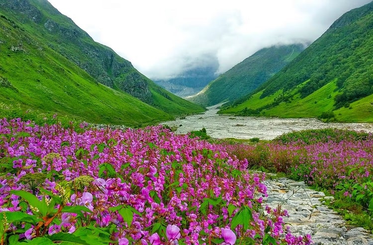 Valley of Flowers a hill station visit during monsoon