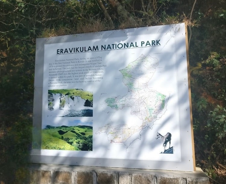 Eravikulam National Park a best place to visit in Munnar
