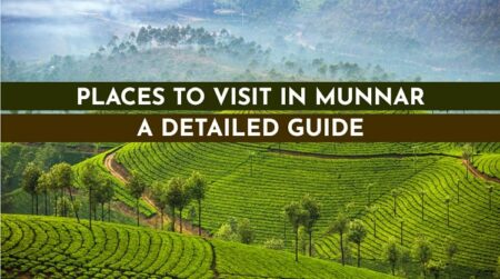 Tourist places to visit in munnar