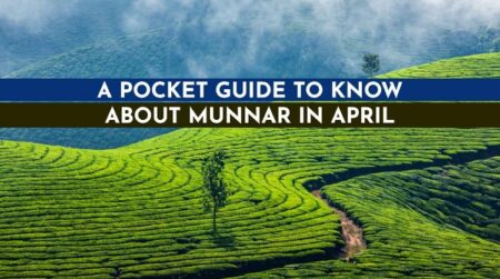 Travel to Munnar in April